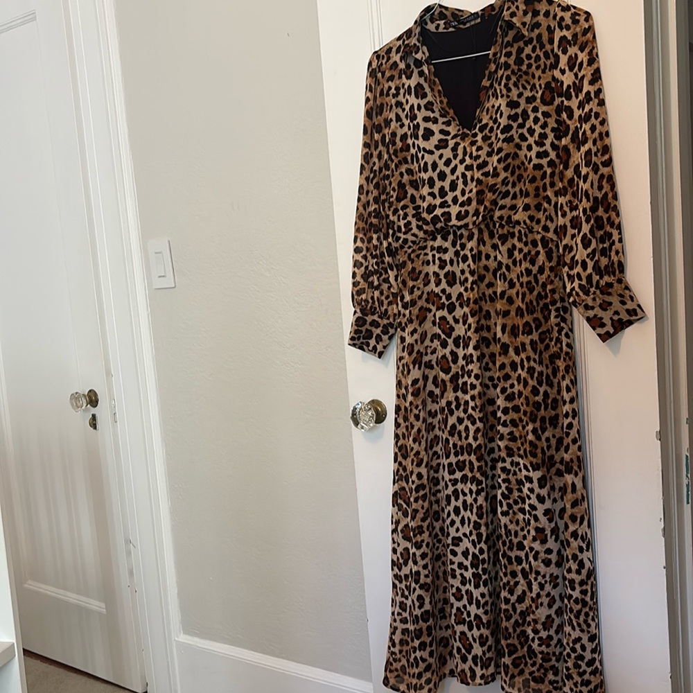 Zara Animal Print Long Sleeve Dress
